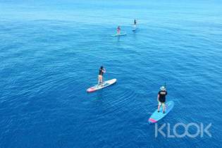 蘭嶼 SUP｜台東｜蘭嶼 SUP 立式划槳體驗