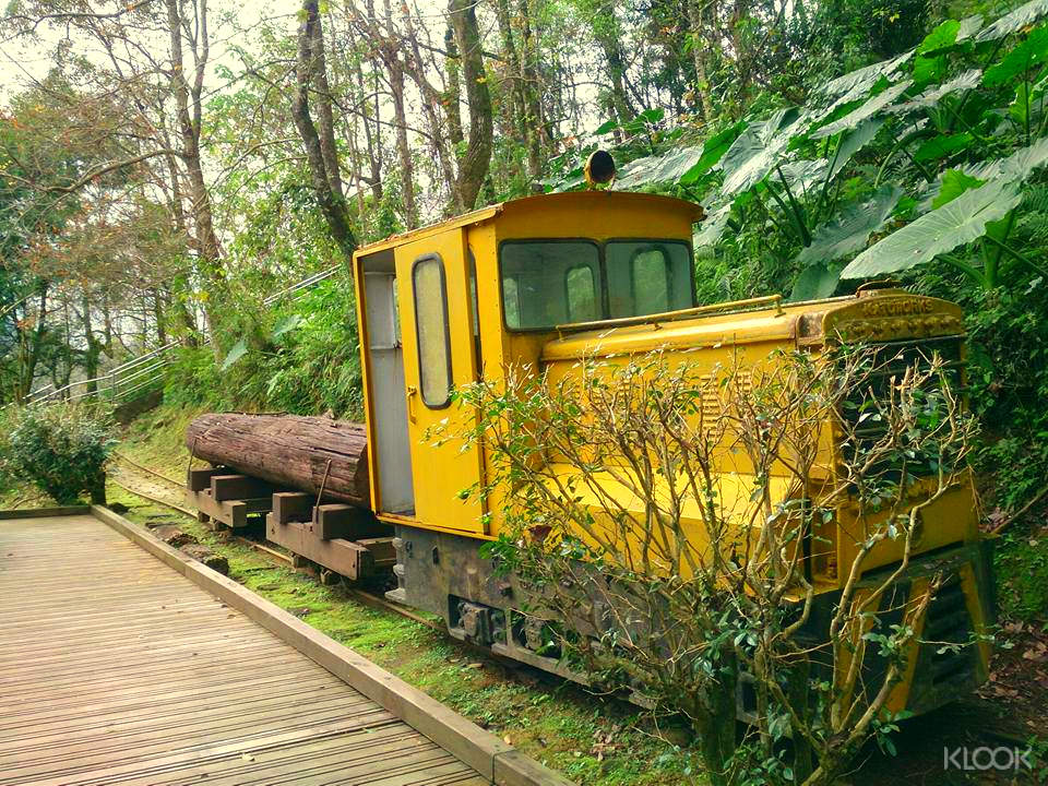 日本人規劃、國民政府擴建，打造了全長將近50公里，花蓮最輝煌的林業鐵道帝國