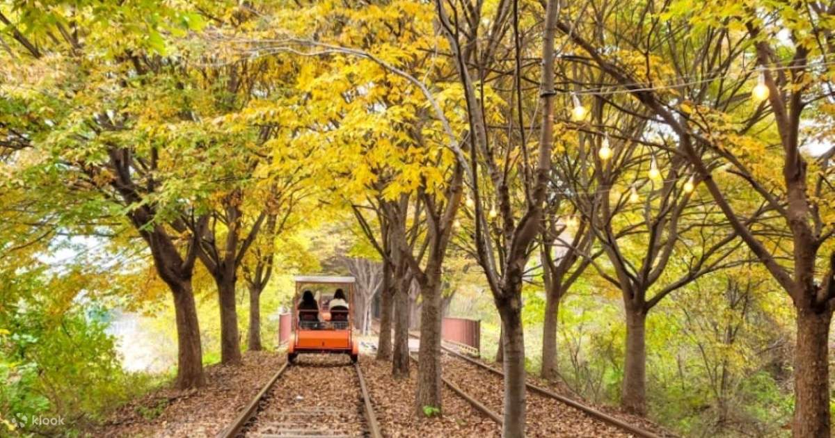 南怡島近郊行程的秋季鐵道自行車實際畫面