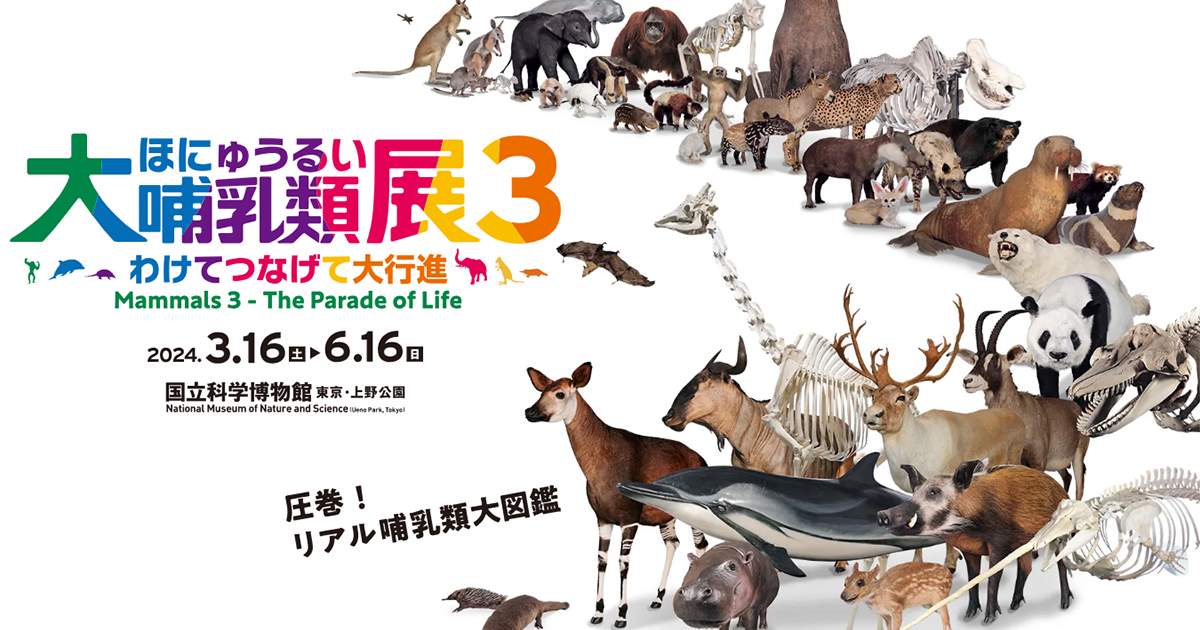 特別展「大哺乳類展3－わけてつなげて大行進」国立科学博物館 - Klook