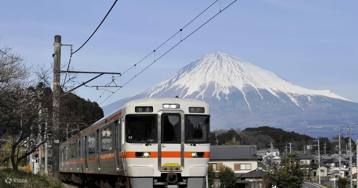 Mt. Fuji & Shizuoka Wasabi Farm Tour with Hokusai Train