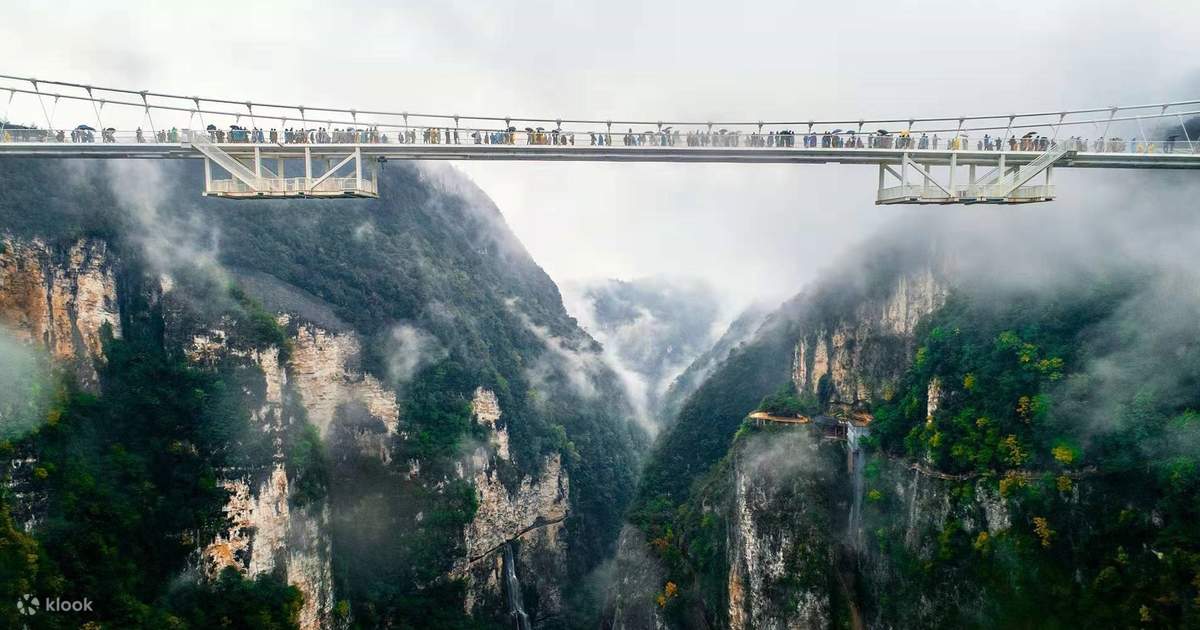Is the Zhangjiajie Grand Canyon Glass Bridge Worth the Hype