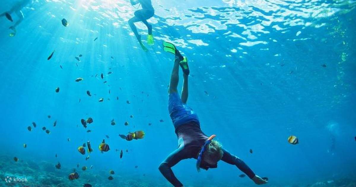 Key West Tour with Choice of Water Activities from Miami - Klook