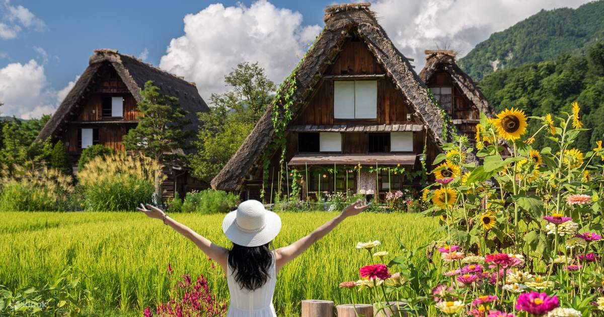 Shirakawa-go Day Trip: Enjoy Gujo Hachiman and Hida Takayama (From ...