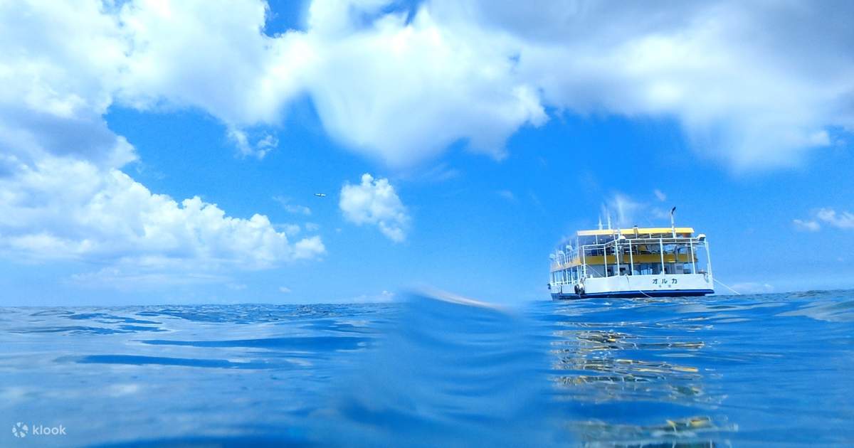 水中観光船オルカ号クルーズの