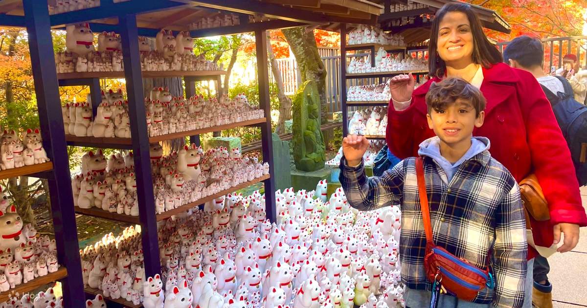 Gotokuji Cat temple, Shinjuku Cat cafe and 3D Cat tour (Tokyo) - Klook