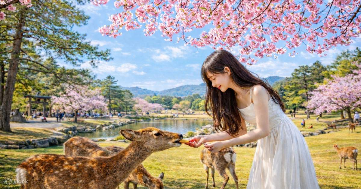 Arashiyama & Nara Park & Fushimi Inari Shrine Day Trip (Departing from Osaka/Kyoto) - Klook Philippines
