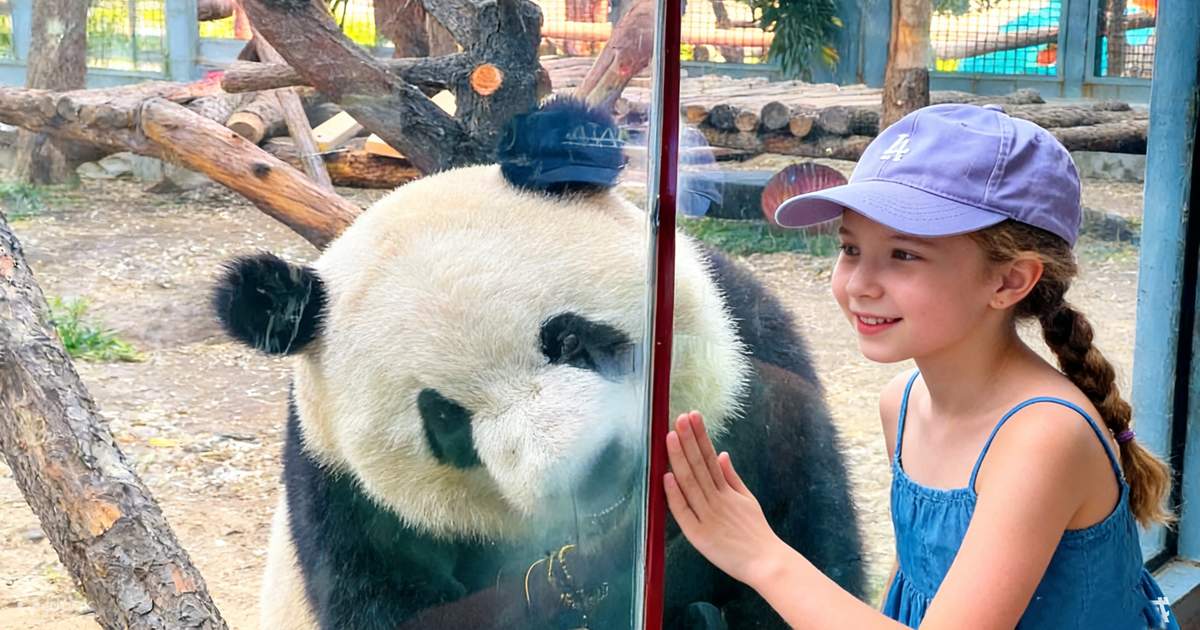 Pandas & Summer Palace Customizable Half-Day Tour - Klook