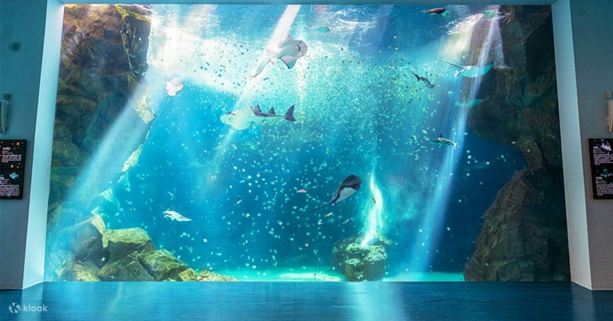 XPark Taiwan Aquarium Ticket - Klook United States