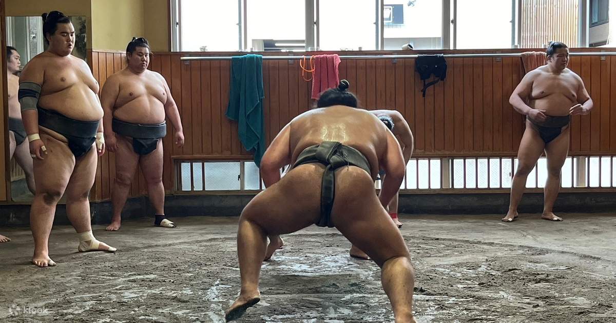大相撲・高砂部屋の朝稽古見学＆記念写真体験（浅草）のオンライン予約 
