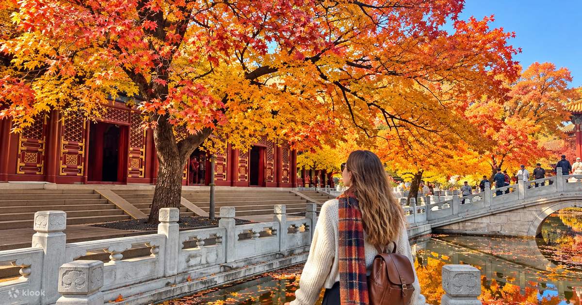 Beijing Xiangshan Day Tour (including tour guide & pickup) - Klook