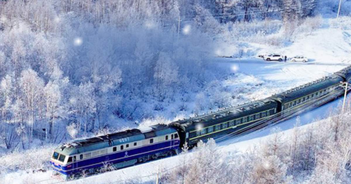 オルゴナイト くま 雪国列車の風景 東北ハルビン雪国列車5日間4泊 - Klook