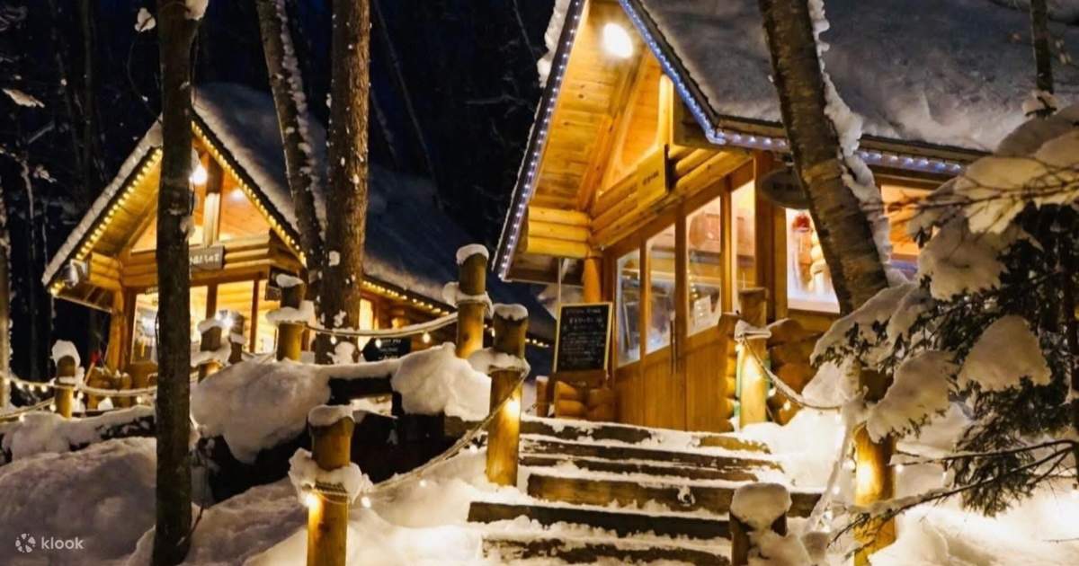 Asahiyama Zoo, Shirahige Falls, Blue Pond, & Ningle Terrace Car