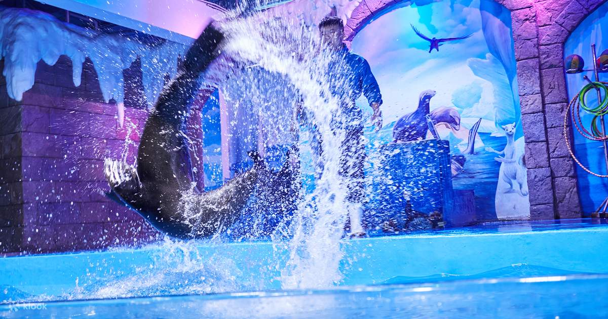Tickets for Shenzhen Mission Hills Ocean World - Klook
