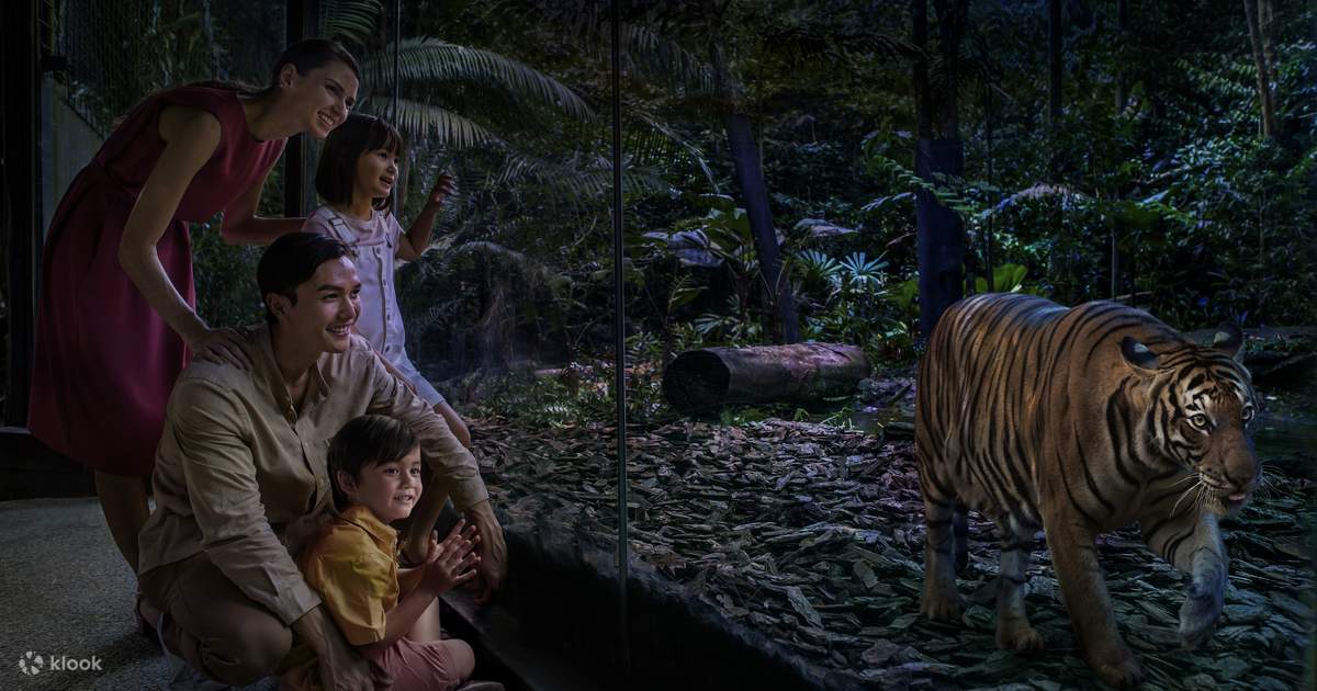 Singapore Night Safari Honest Review 2026 What to Expect and How to Plan It