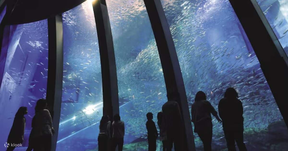 Yokohama Hakkeijima Sea Paradise Ticket - Klook