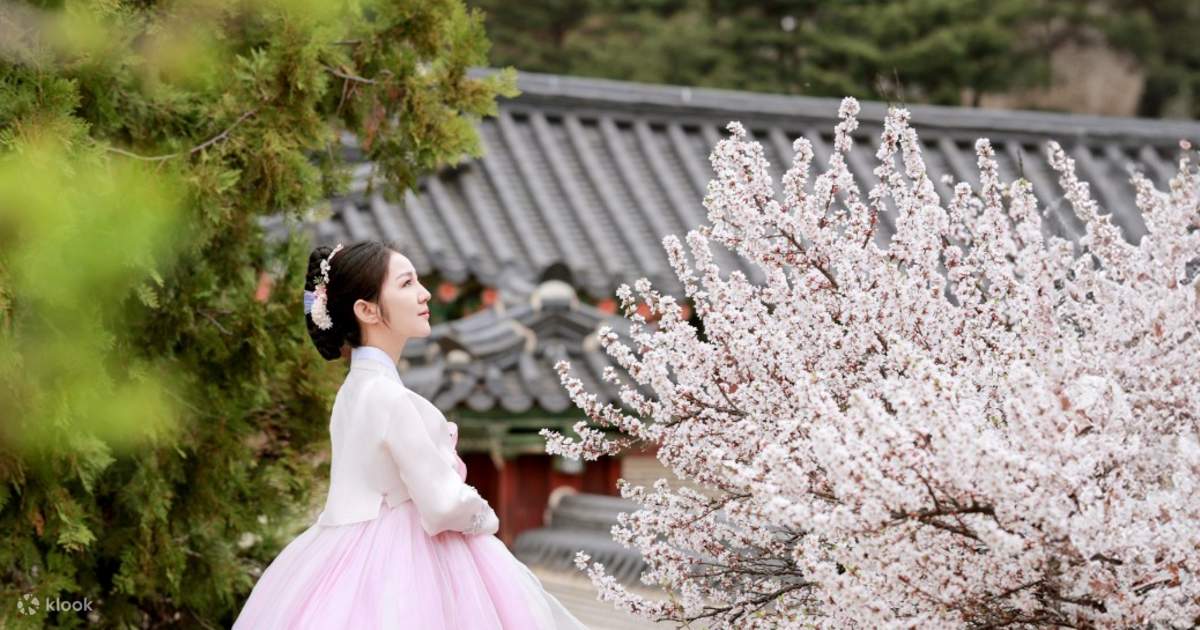 美笑韓服 昌徳宮店 (Miso Hanbok) で韓服レンタル - Klook