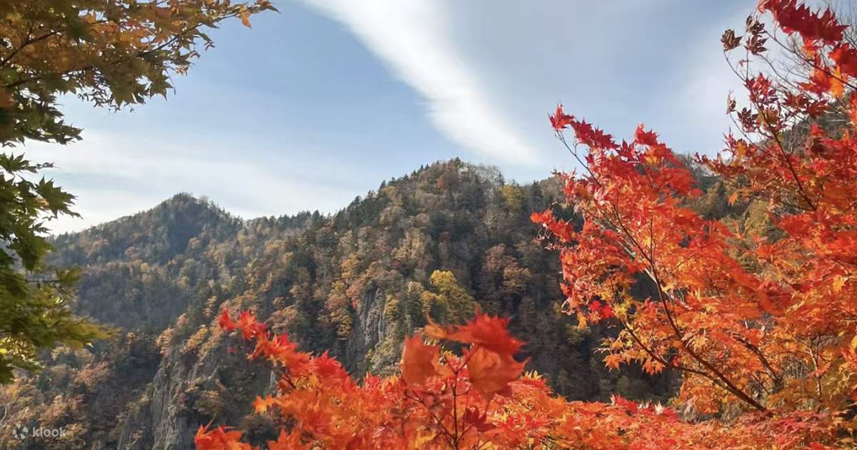 北海道紅葉日帰りツアー：定山渓＆豊平峡ダム＆昭和新山熊牧場＆羊蹄