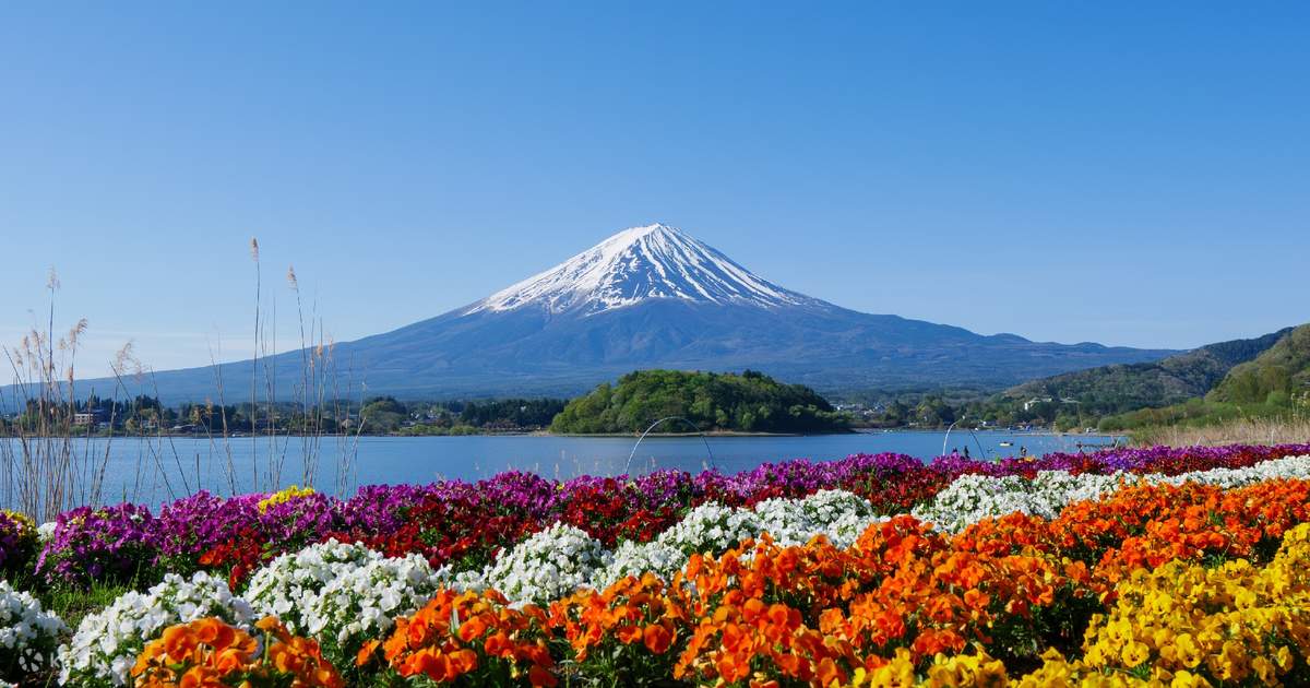 Mount Fuji Magnificent Scenery Exploration Day Tour】Arakurayama