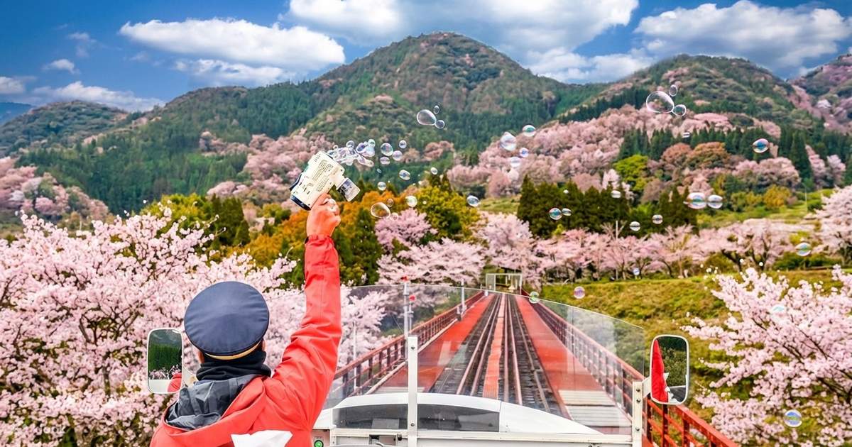 九州｜熊本城、城彩苑 och Takachiho-ravinen - Dagstur (från Fukuoka) - Klook Sverige