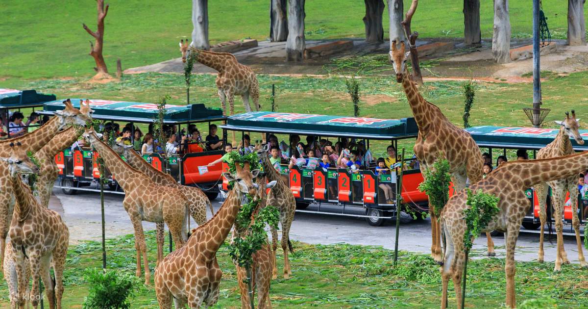 Guangzhou Chimelong Safari Park Ticket  - Klook Singapore