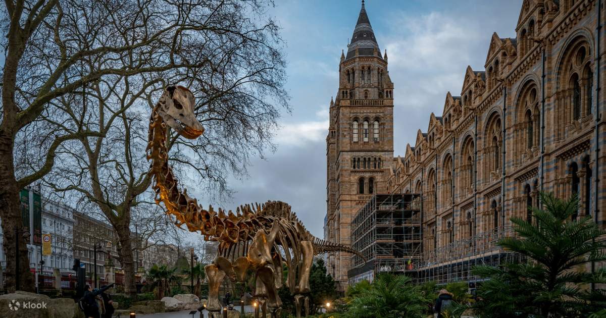 London Natural History Museum Express Tour with Audio Guide - Klook