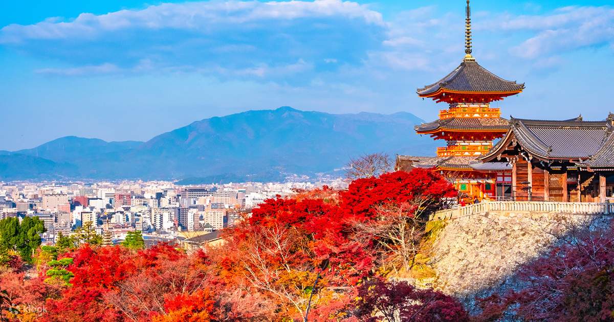 Nara Park, Fushimi Inari Shrine & Kiyomizu-dera Temple Full-Day Tour ...