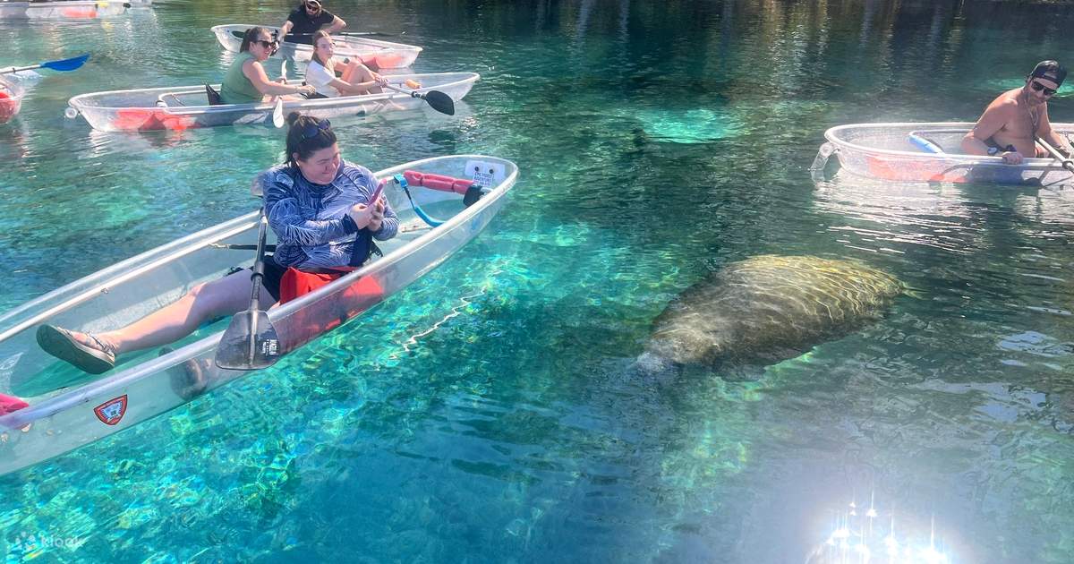 Manatees and Monkeys Clear Kayak or Clear Paddleboard Adventure at