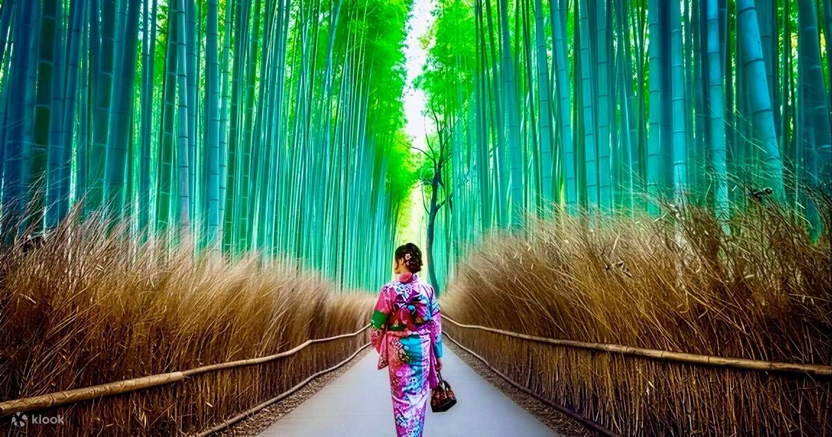 Kyoto & Nara Full-Day Private Tour with Customizable Itinerary