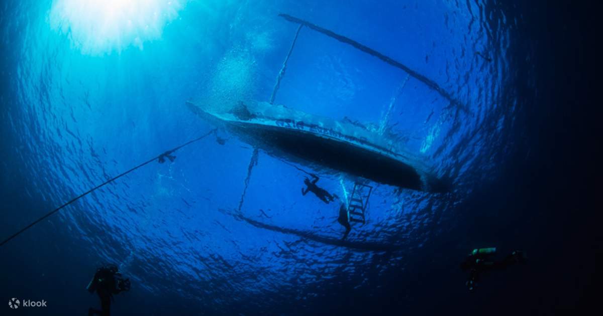 Dive Deeper: PADI Advanced Open Water Diver in Puerto Galera with PADI ...