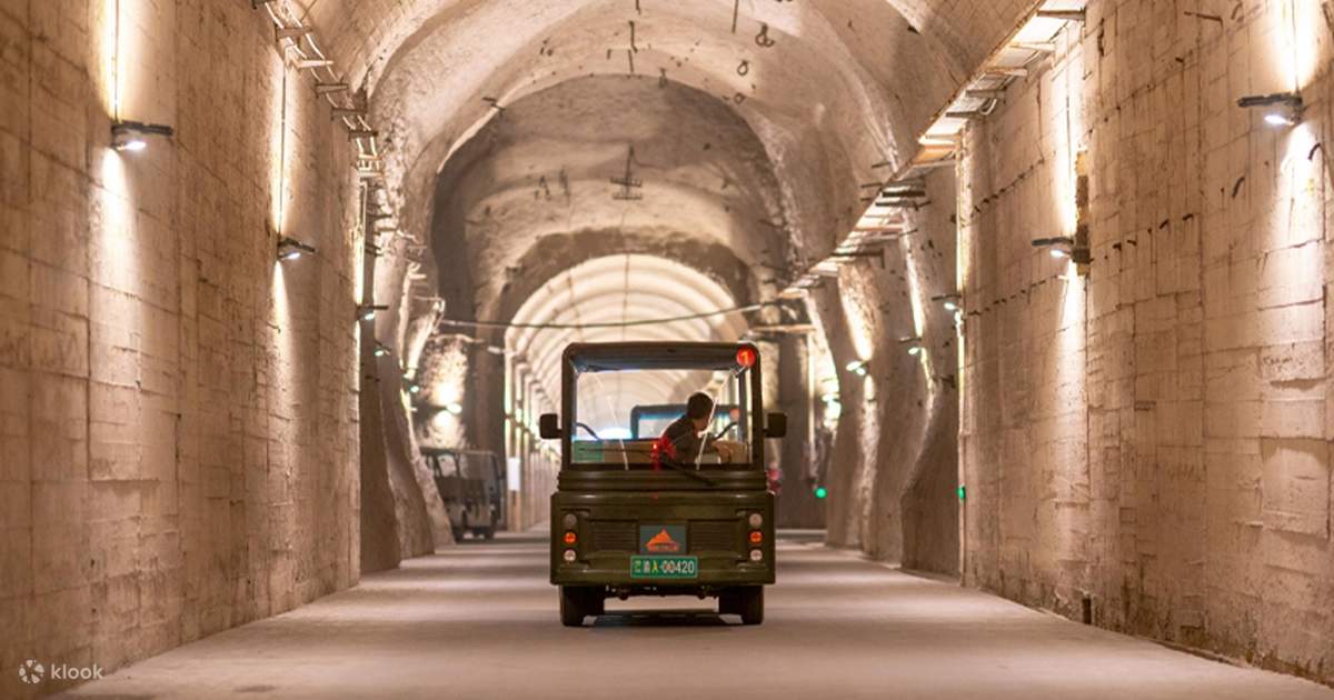 Excursión de un día al Museo Subacuático Baiheliang de Chongqing y al ...