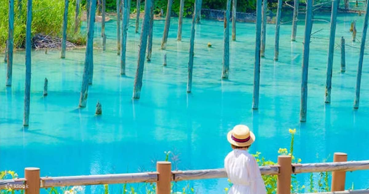 Biei Blue Pond & Ningle Terrace & Shikisai-no-oka/Farm Tomita