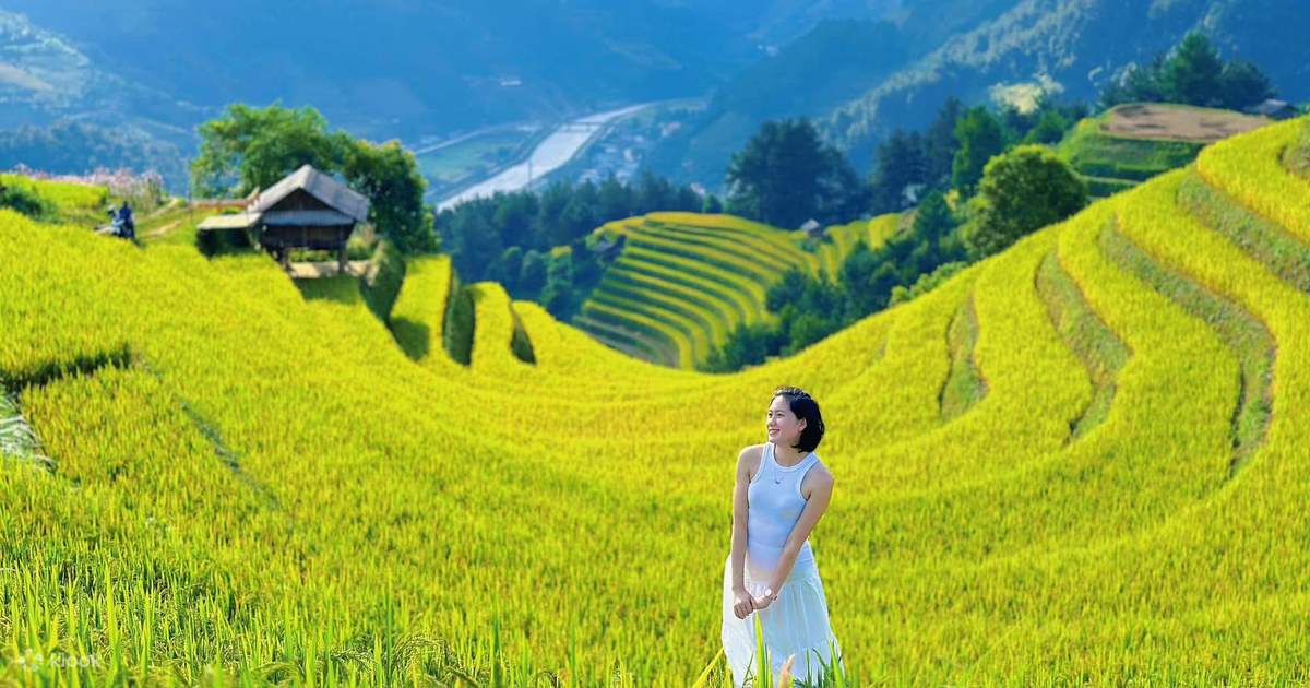 사파 노-트레킹: 무옹 호아 밸리, 타 반 빌리지, 경치 좋은 스파 & 카페