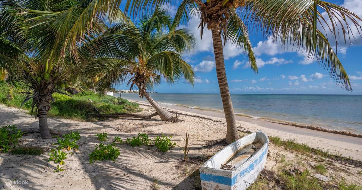 Tur privat Puerto Morelos & Cenote – Snorkeling și înot din Cancun ...