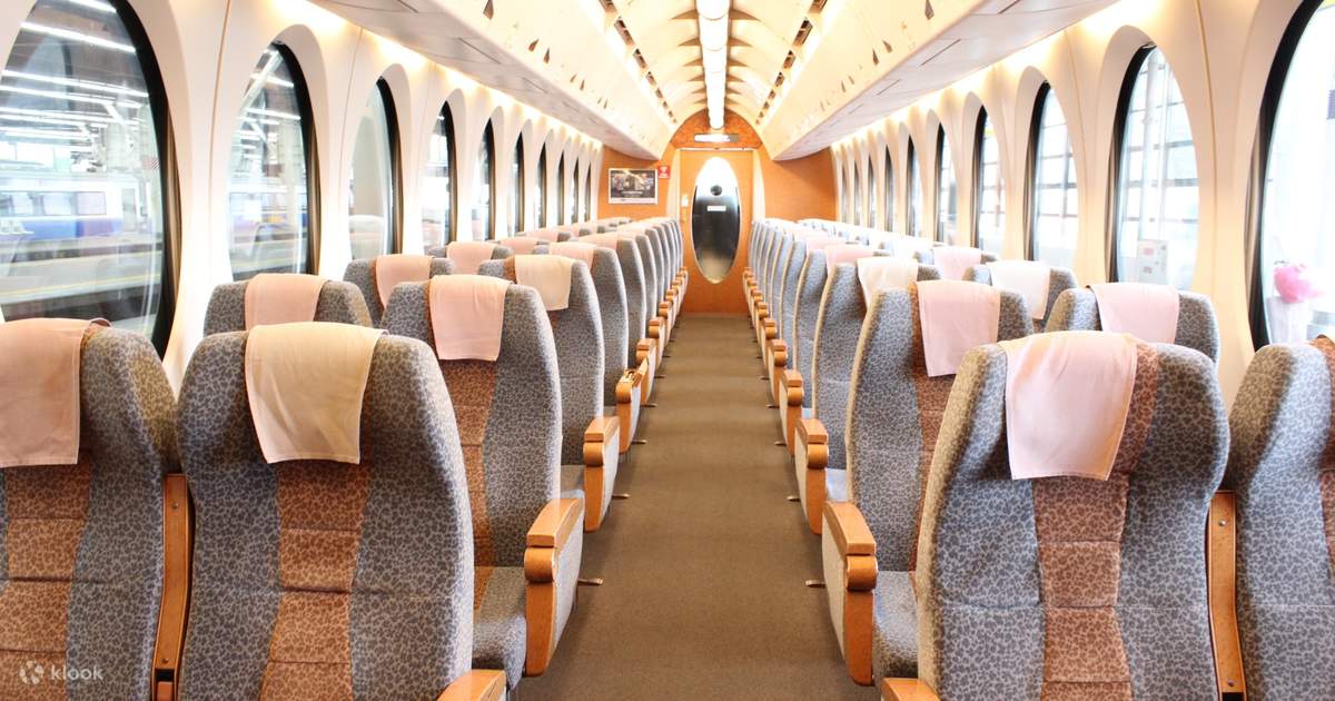 Nankai Limited Express Rapi:t Ticket - Klook