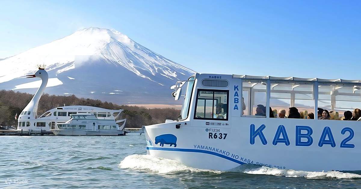 Small Group Tour (9 People): Amphibious Kaba Bus Experience | Mount ...