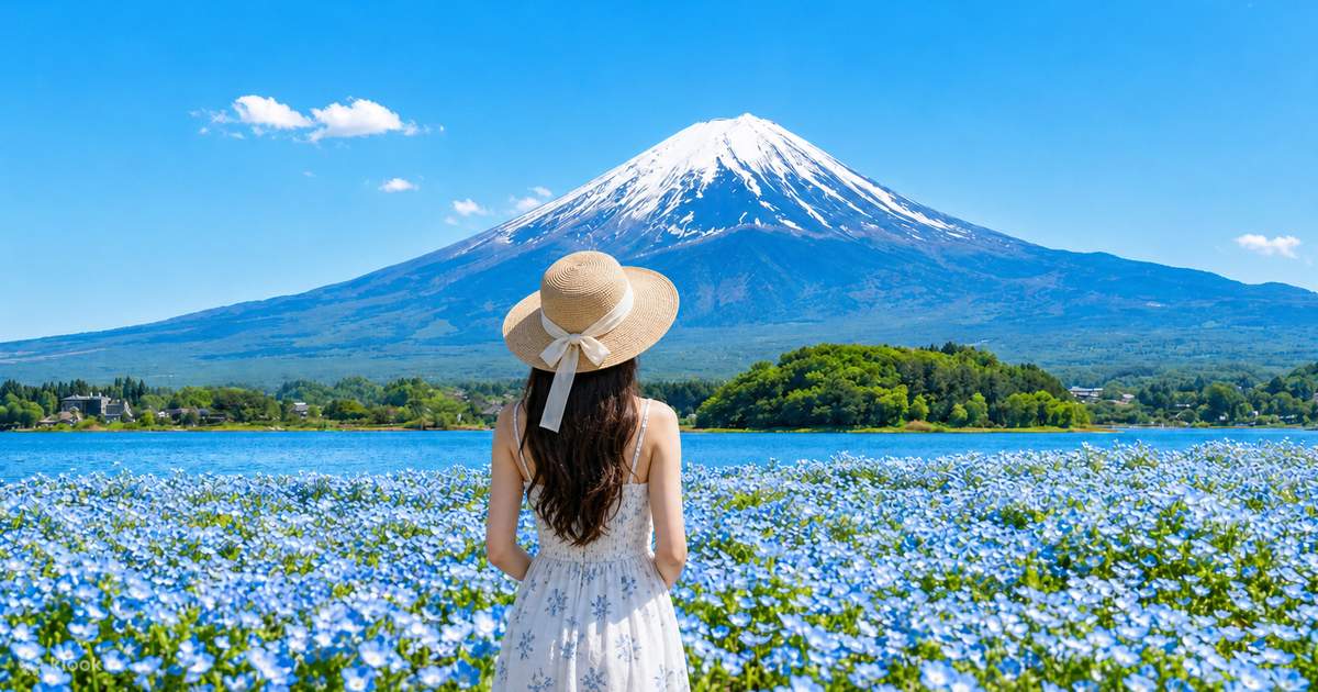 Mount Tenjo Ropeway Mount Fuji & Tenjo-Yama Park Ropeway Day Tour - Klook