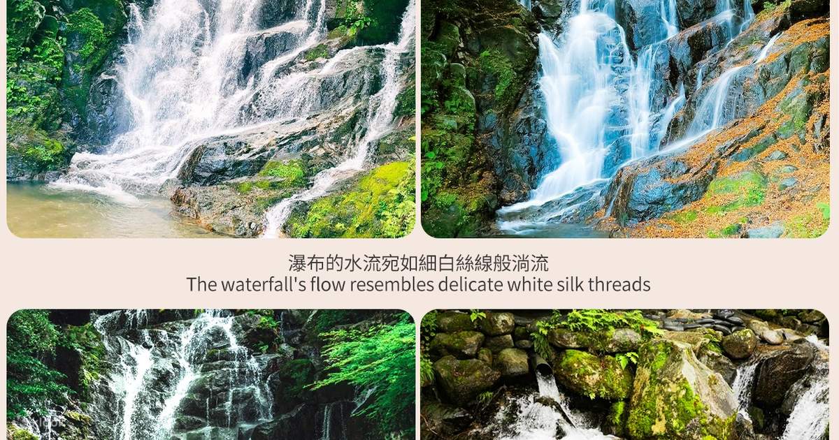 Fukuoka Coast: 6 Major Attractions Day Trip, Experience Romantic
