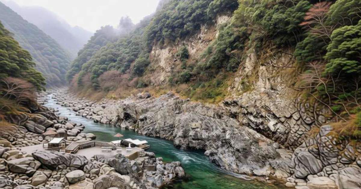 成東の渦潮、祖谷のかずら橋、大歩危峡 日帰りツアー - Klook