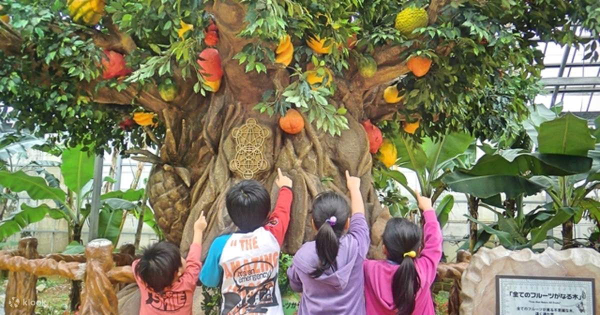 Okinawa Fruits Land Ticket - Klook United States