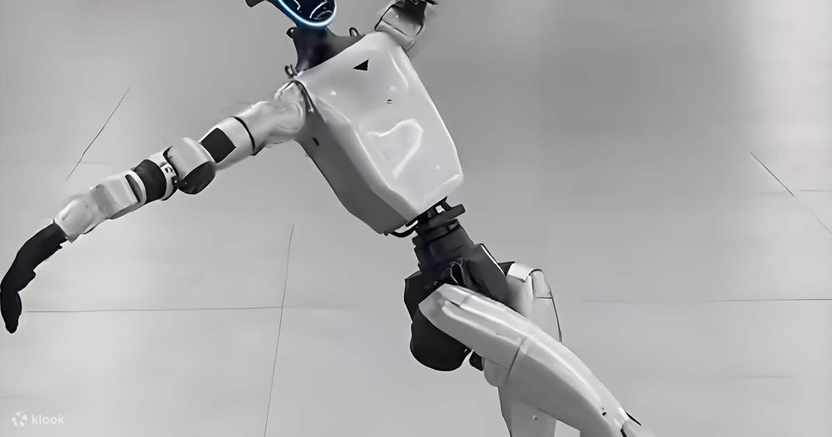 Unitree Robotics & Alibaba Half-Day Interactive Tour - Klook