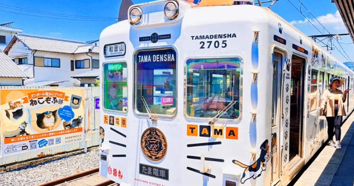 Wakayama/Shirahama: Kishi Station Cat Stationmaster Train