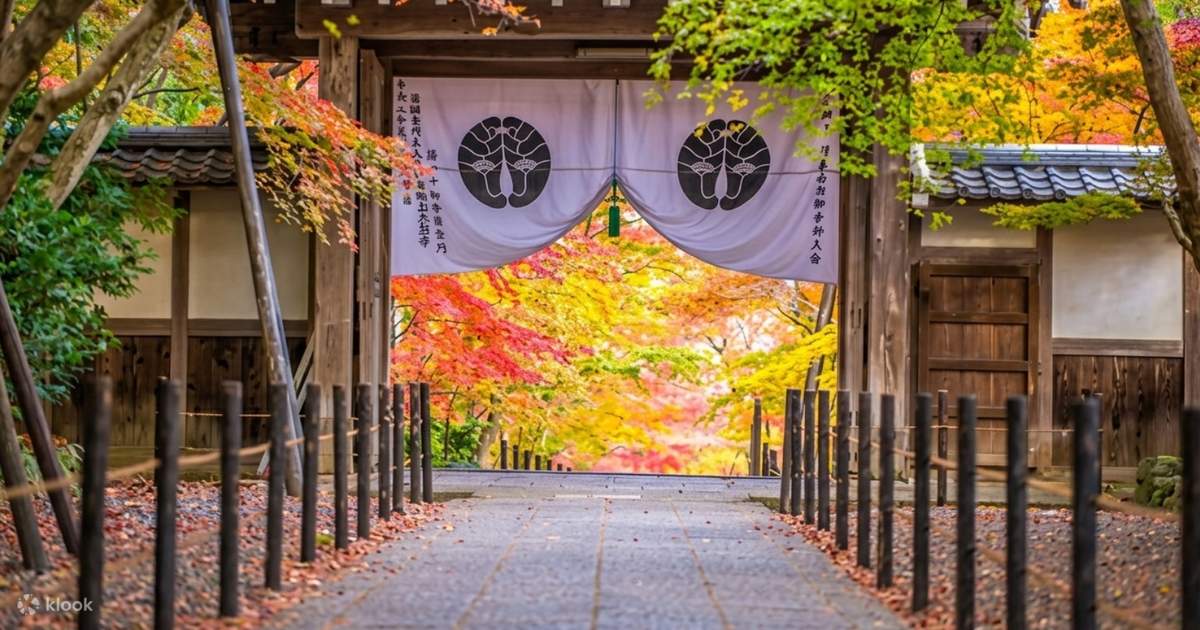 Bí mật được giữ kín nhất của Kyoto: Tre đích thực & Lịch sử ẩn giấu của ...