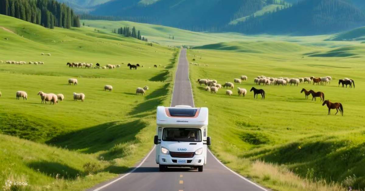 Riding Rv Xinjiang RV Tour of Ili 8-Day (Tianma Bathing River + Horse Riding ...
