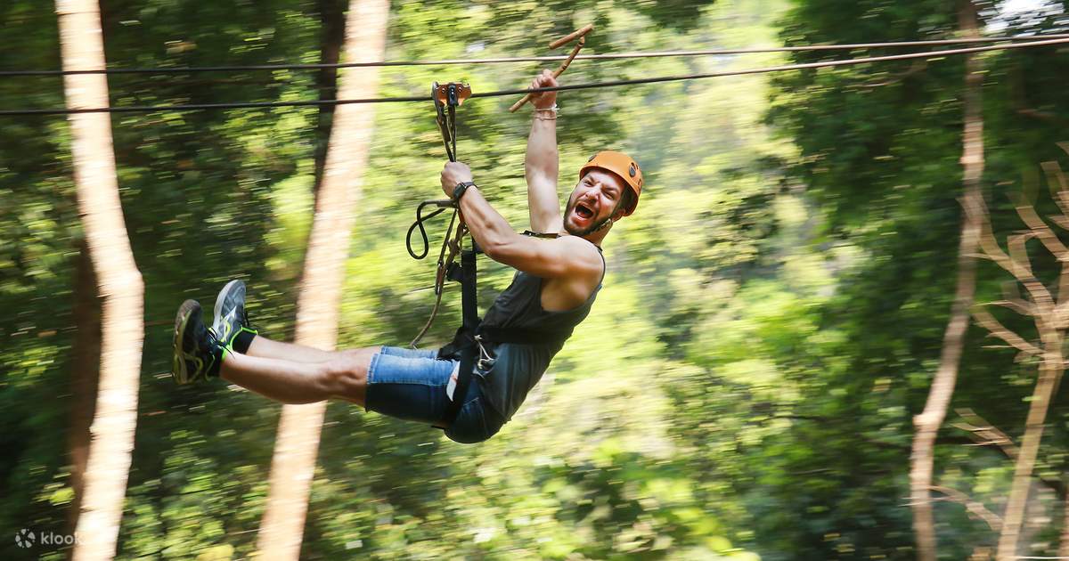 Chiang Mai: Petualangan Zipline Flying Tiger - Klook