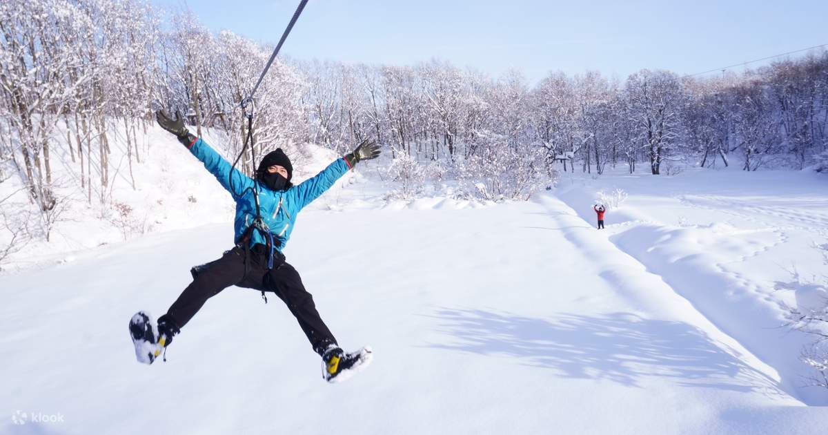 Zipline experience in the forests of Hokkaido - Klook