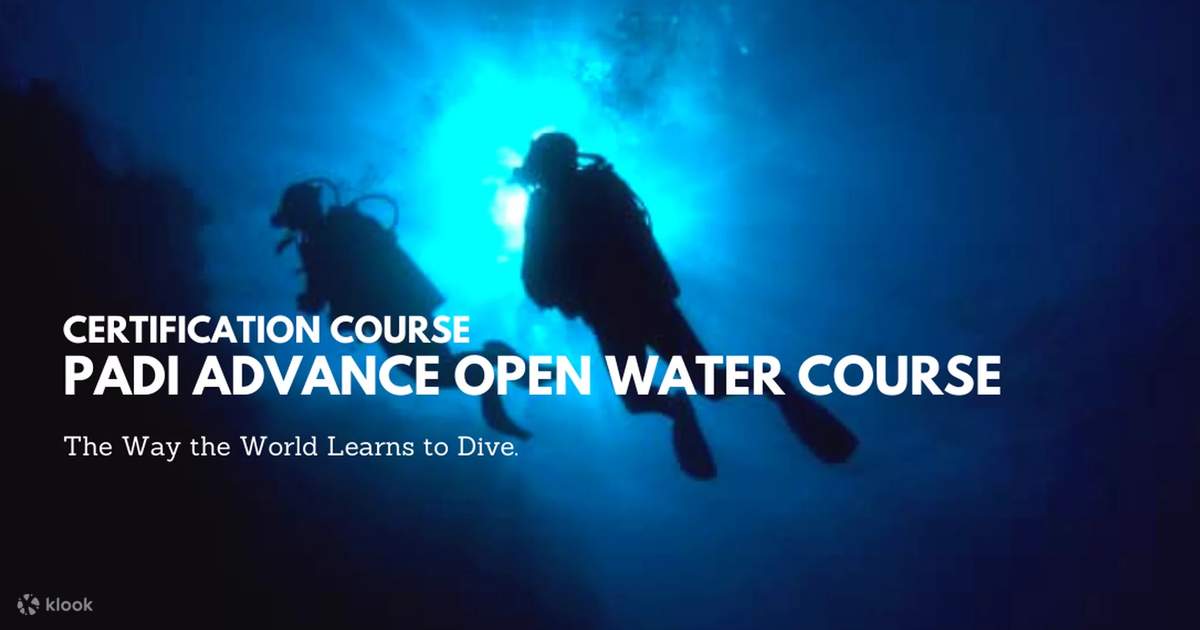 Explore the Depths with PADI Advanced Open Water Dive in Kota Kinabalu ...
