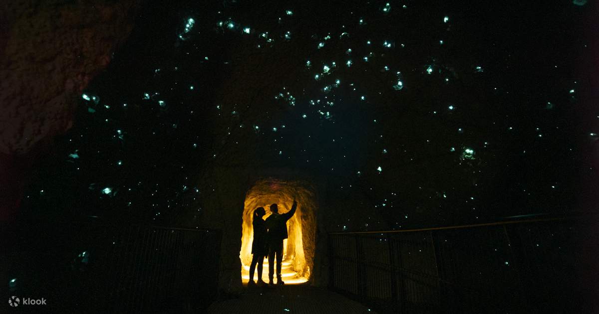 Redwoods Experience in Rotorua - Klook
