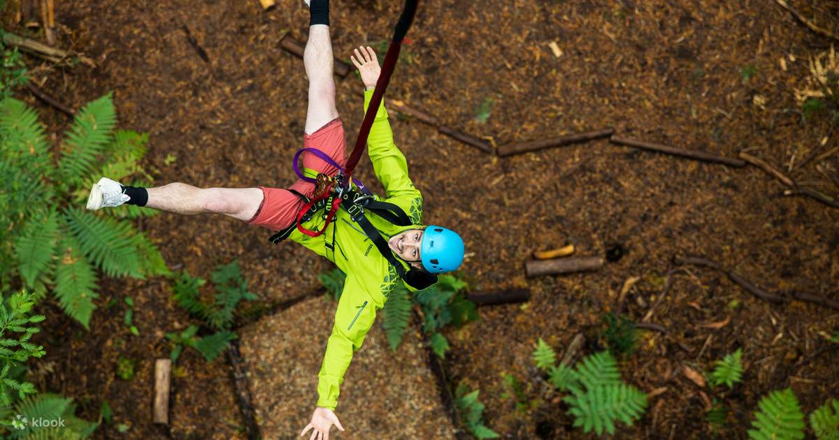 RedwoodsAltitudeExperience-
