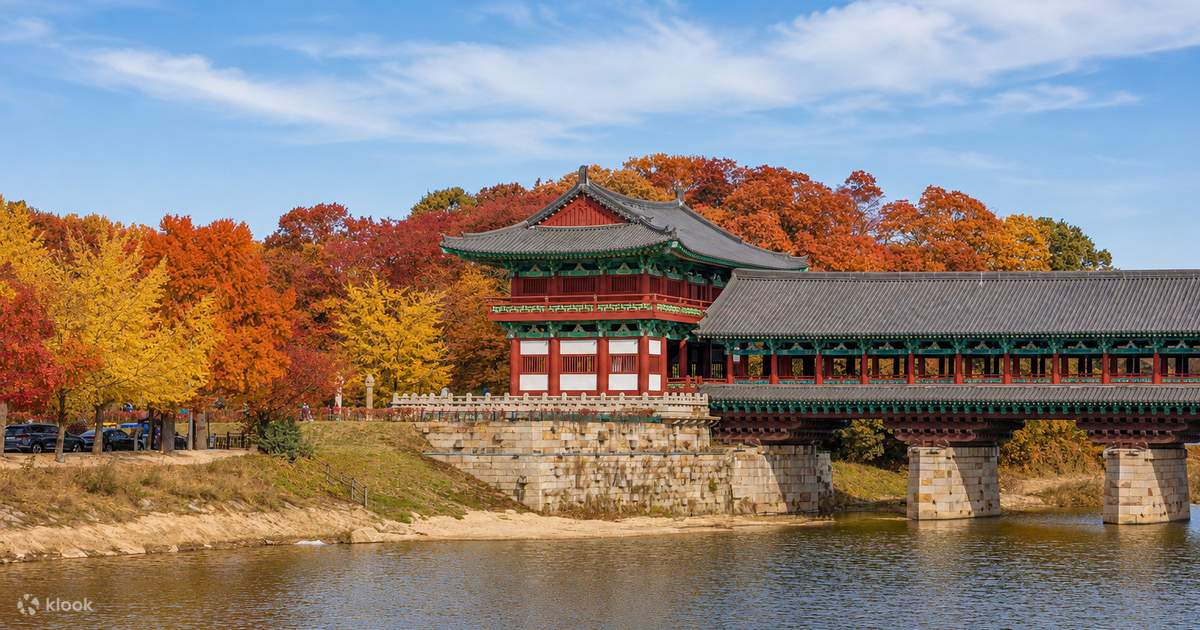 Gyeongju Autumn Foliage & Pink Muhly Tour from Busan - Klook